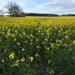 Prázdninový dům Gaestehaeuschen „kleine Auszeit“ Greifswald