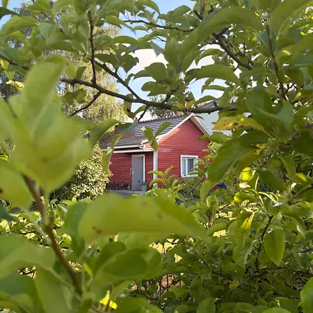 Feriehus Gaestehaeuschen „kleine Auszeit“ *