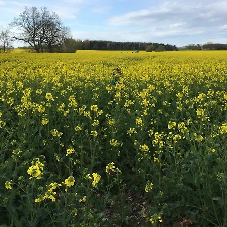 Feriehus Gaestehaeuschen „kleine Auszeit“ Greifswald