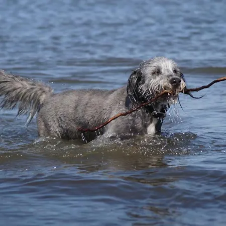 Gaestehaeuschen „kleine Auszeit“ Casa de Férias Greifswald