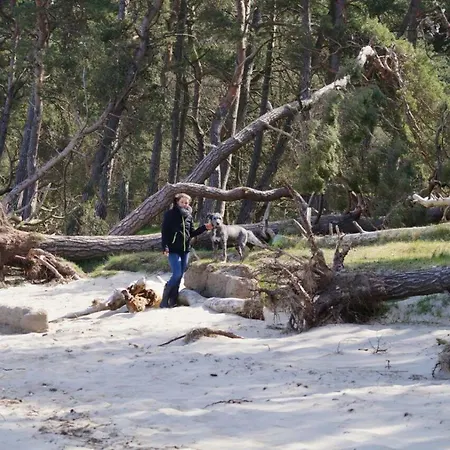 Gaestehaeuschen „kleine Auszeit“ * Greifswald
