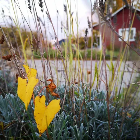 Casa de Férias Gaestehaeuschen „kleine Auszeit“ Greifswald
