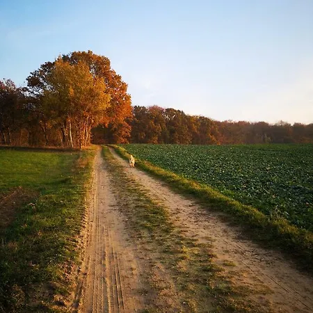 Gaestehaeuschen „kleine Auszeit“