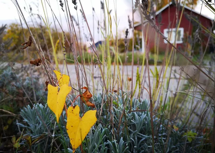بيت للعطل Gaestehaeuschen „kleine Auszeit“ جرايفسفالد