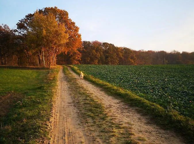 Gaestehaeuschen „kleine Auszeit“